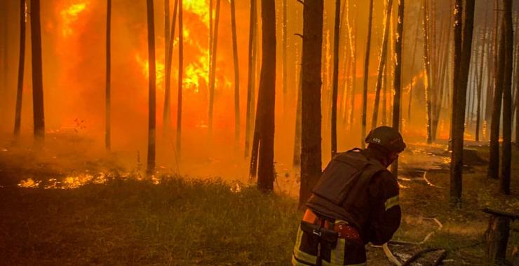 Пожар в лесной части Харьковской области расширился: огнем охвачено уже более 3,9 тысяч га
