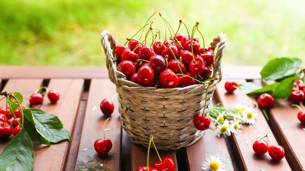 В июне 2024 на украинских рынках подешевели ягоды вишни: обзор цен