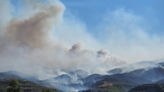 В Болгарии из-за лесных пожаров эвакуировали два села
