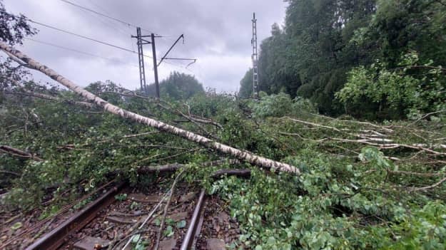 В Латвии прошел ураган: перекрыты дороги, без света – десятки тысяч людей