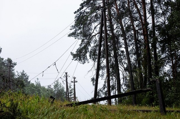 В Литве после сильной бури 100 тысяч домов остаются без света