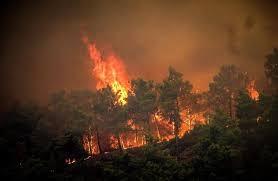 На юго-востоке Греции вспыхнул лесной пожар, людей эвакуируют