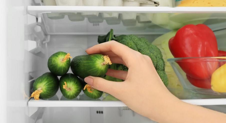 Как продлить срок хранения огурцов в холодильнике: советы
