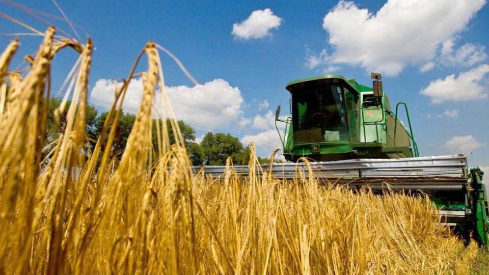 Украина уже собрала более 22 миллионов тонн зерновых и масличных культур