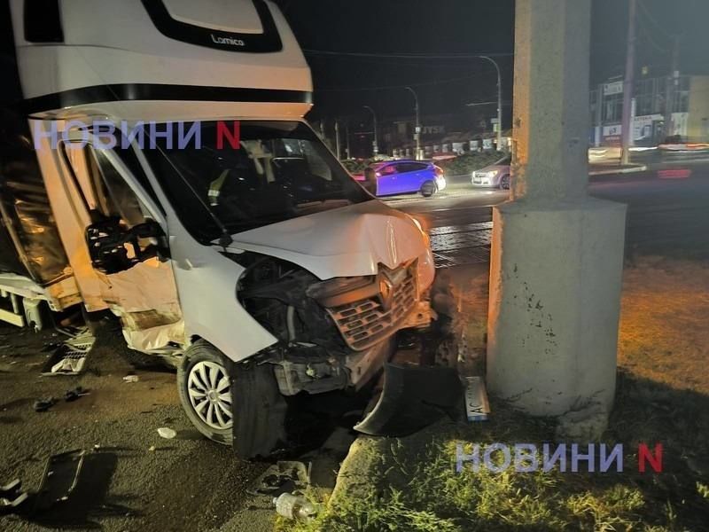 В Николаеве попал в ДТП грузовик с замороженными тушками дохлых собак