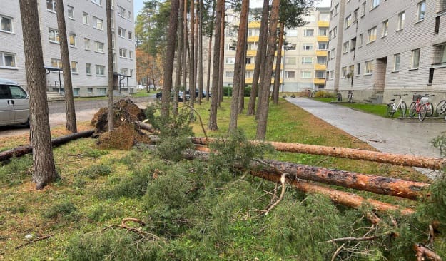 По западу Эстонии и по Латвии пронесся мощный ураган: без света остались тысячи эстонцев