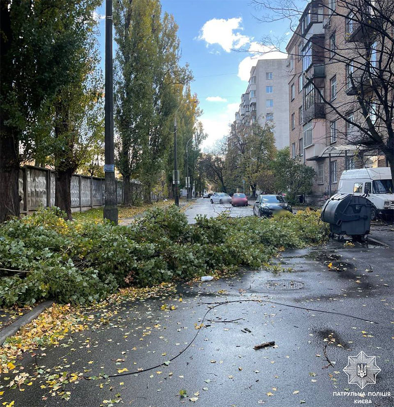 Сильным ветром в Киеве повалило деревья и сорвало крыши со зданий &#8212; соцсети