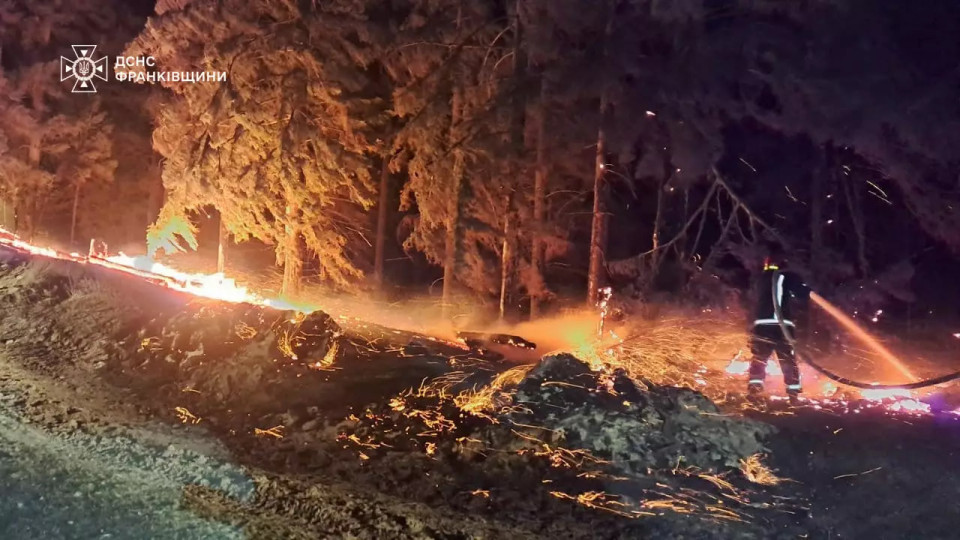 На Прикарпатье тушат масштабные лесные пожары