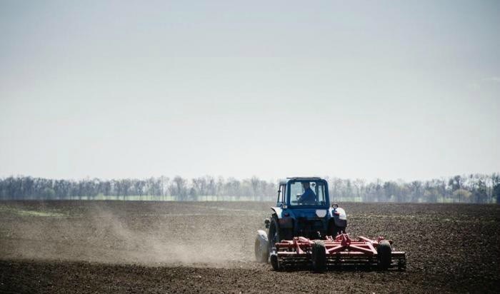 Правительство Украины приняло ряд изменений для фермеров на прифронтовых территориях — премьер-министр