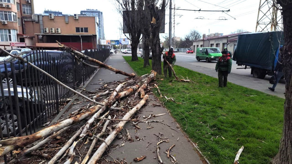 В Одессе ураганным ветром повалило деревья