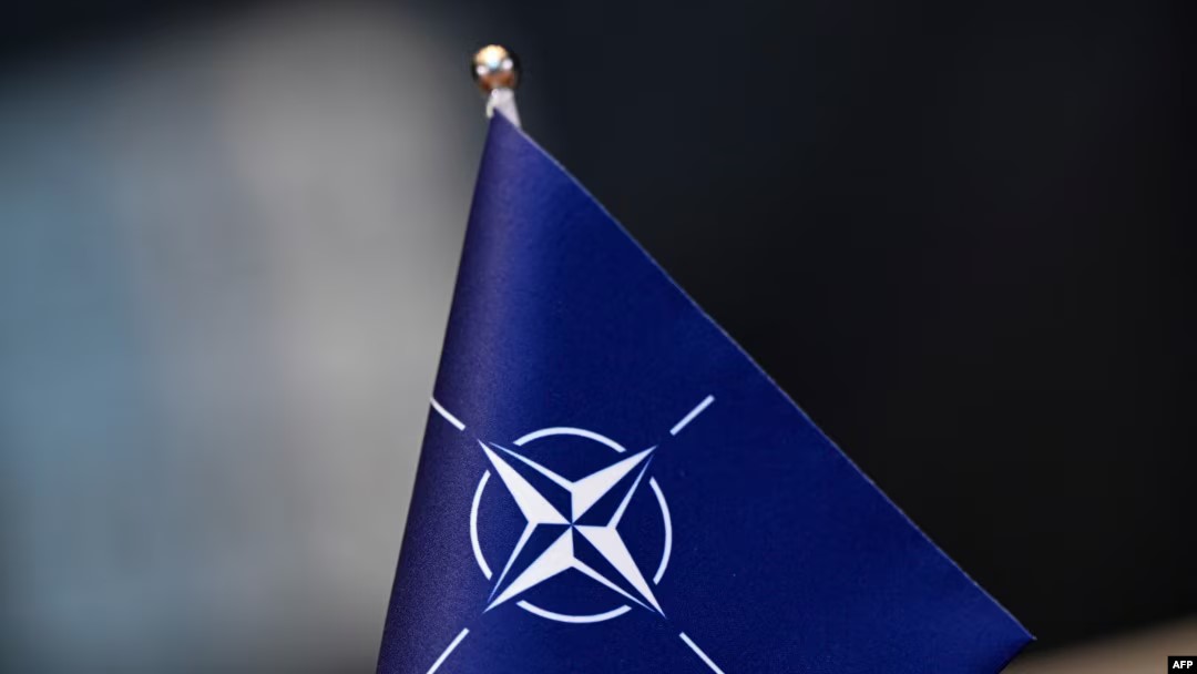 В Чехии раскритиковали заявление Келлога о нерасширении НАТО