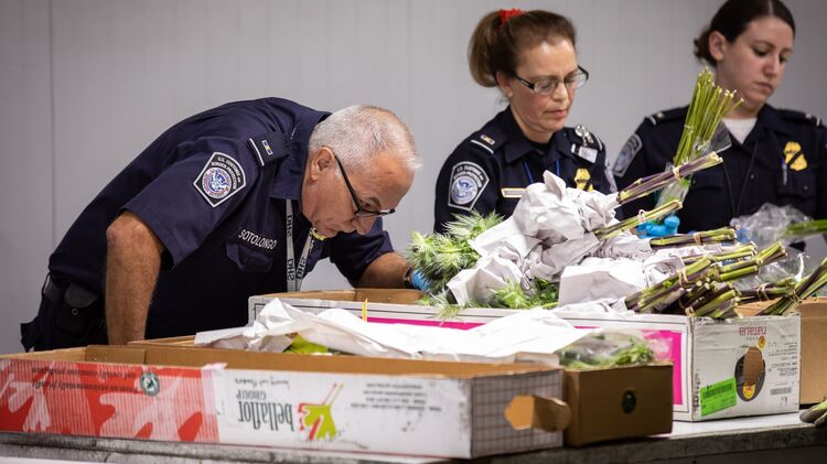 США начали взимать введённые Трампом импортные пошлины