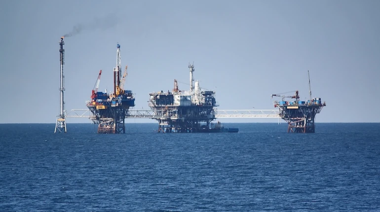 Эрдоган заявил об открытии газового месторождения в Черном море