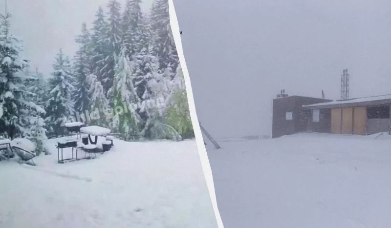 Карпаты и Прикарпатье засыпало снегом