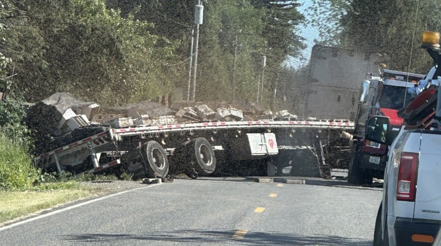 В США из перевернувшейся фуры вылетели 250 млн пчел