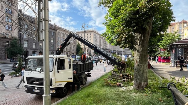 В Киеве возле станции метро &#171;Крещатик&#187; упало дерево &#8212; КГГА