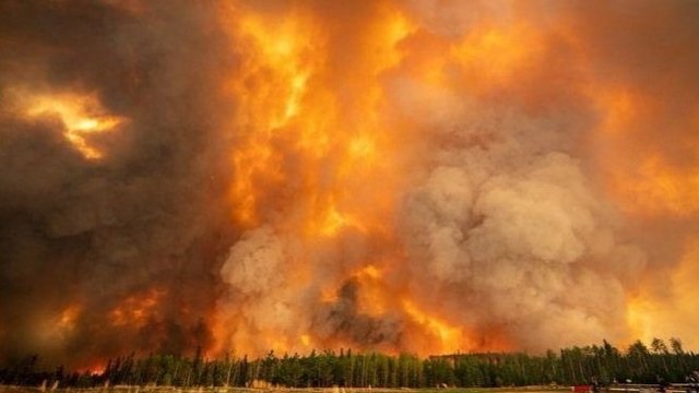 Дым от пожаров в Канаде достиг Северной Европы: начата эвакуация людей