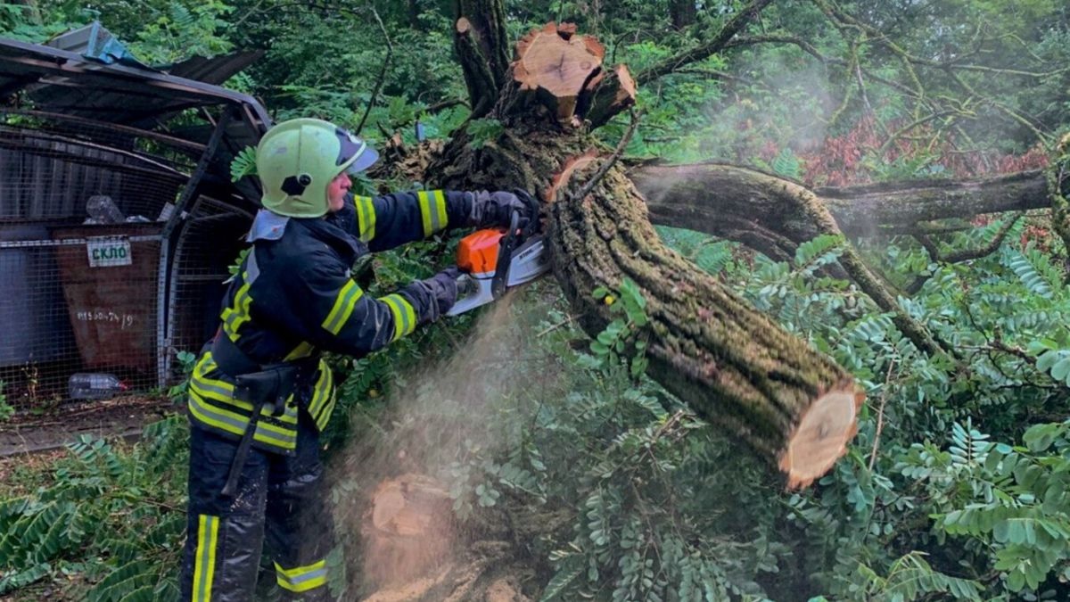 Поваленные деревья и вода в домах: грозы и ливни ударили по западу и северу Украины
