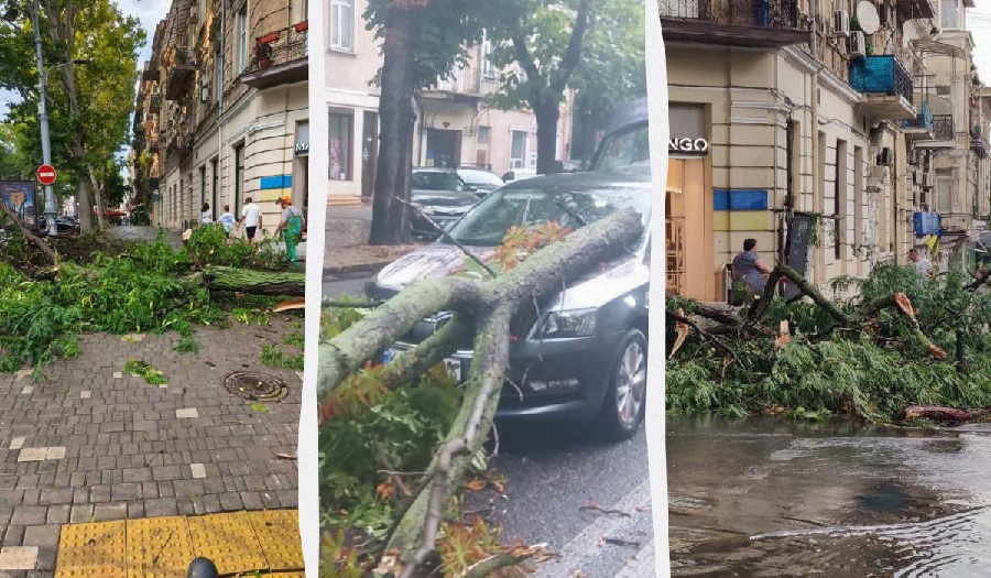 В Одессе во время ливня и шквального ветра падали деревья