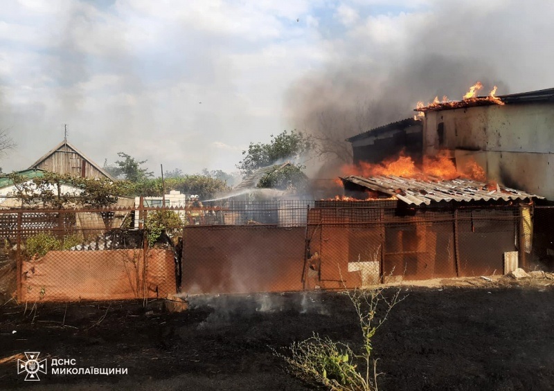 В Николаевской области бушуют масштабные пожары: горели леса, авто и дома