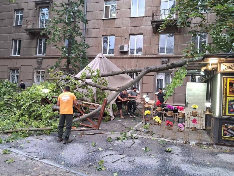 Поваленные деревья и поврежденные авто: в Одессе шторм натворил беды