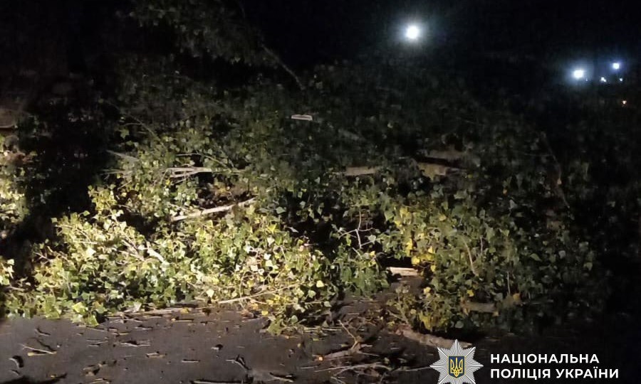 В Полтаве дерево упало на авто: женщину и ребенка забрали в больницу