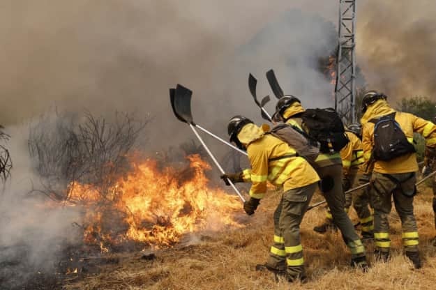 Испания направила еще 500 солдат для борьбы с лесными пожарами