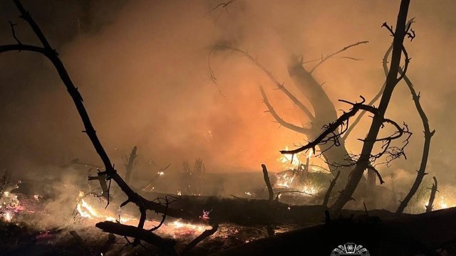 Ночью РФ дронами массированно атаковала Харьковскую область, возникло несколько пожаров