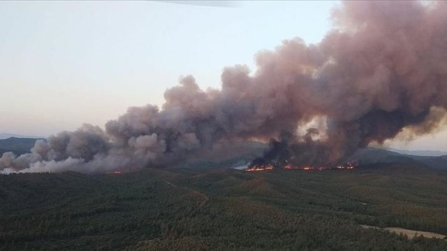 Пожар на юге Франции охватил 16 тысяч гектаров и пока не поддается контролю &#8212; СМИ