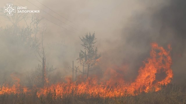 На острове Хортица четвертый день бушует масштабный пожар