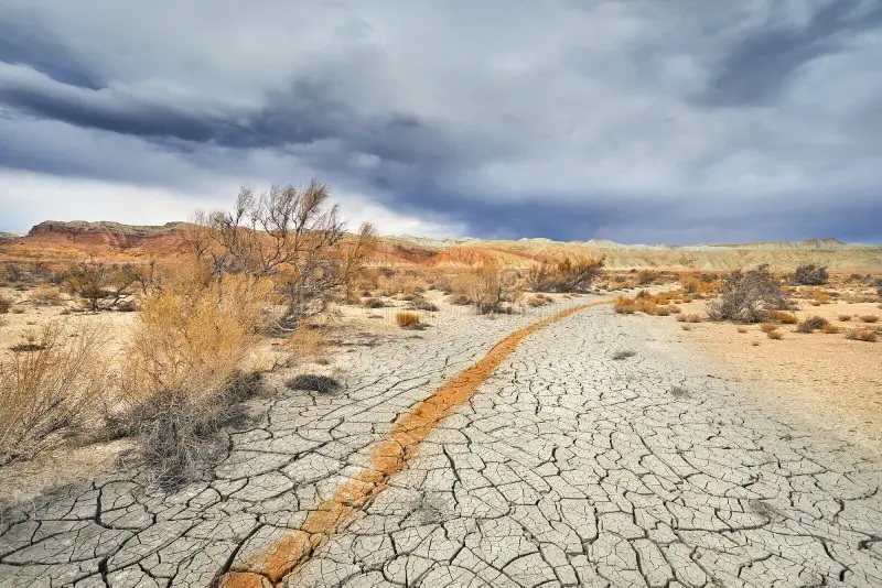 Одна из областей Украины из-за смены климата может стать пустыней &#8212; эколог