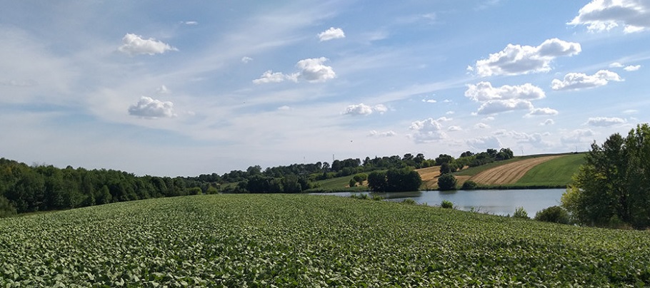 Земельная афера на 12 миллионов гривен: в Киевской области разоблачили депутата с сообщниками