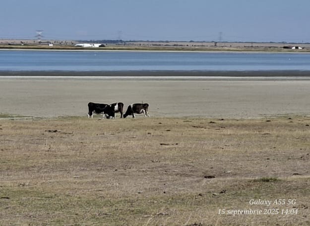В Румынии высохло большое озеро