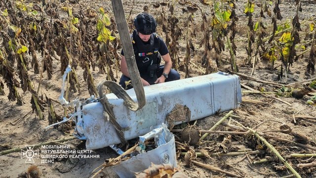 Остатки ракеты с боевой частью нашли на поле подсолнечника в Киевской области &#8212; ГСЧС