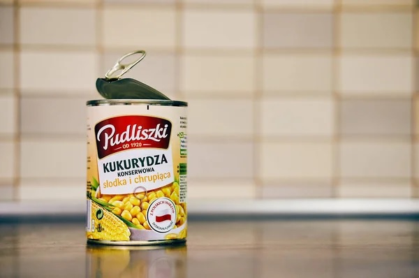 В Польше задержали мужчину, которого подозревают в подготовке терактов по заказу РФ