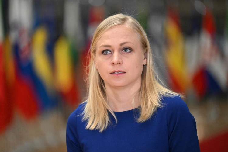 В Грузии оштрафовали на 1,8 тысячи долларов главу ОБСЕ Элину Валтонен за перекрытие дороги