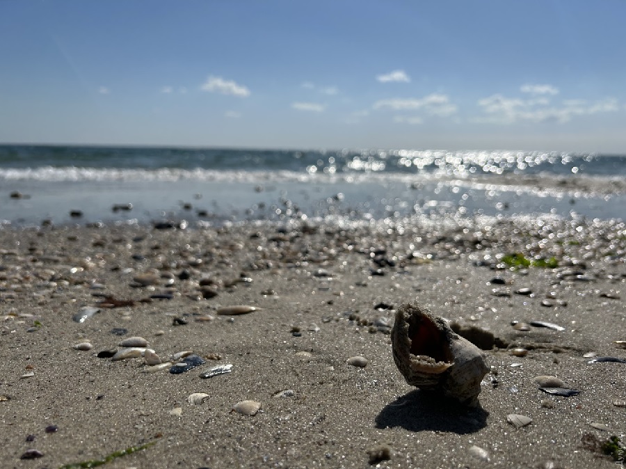 В сентябре 2025 года в Одессе закончился пляжный сезон