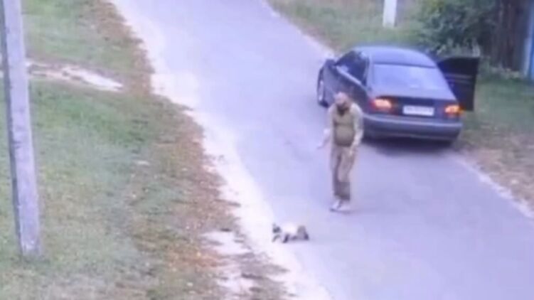 В соцсетях обсуждают похищение кота в Киевской области якобы сотрудниками ТЦК