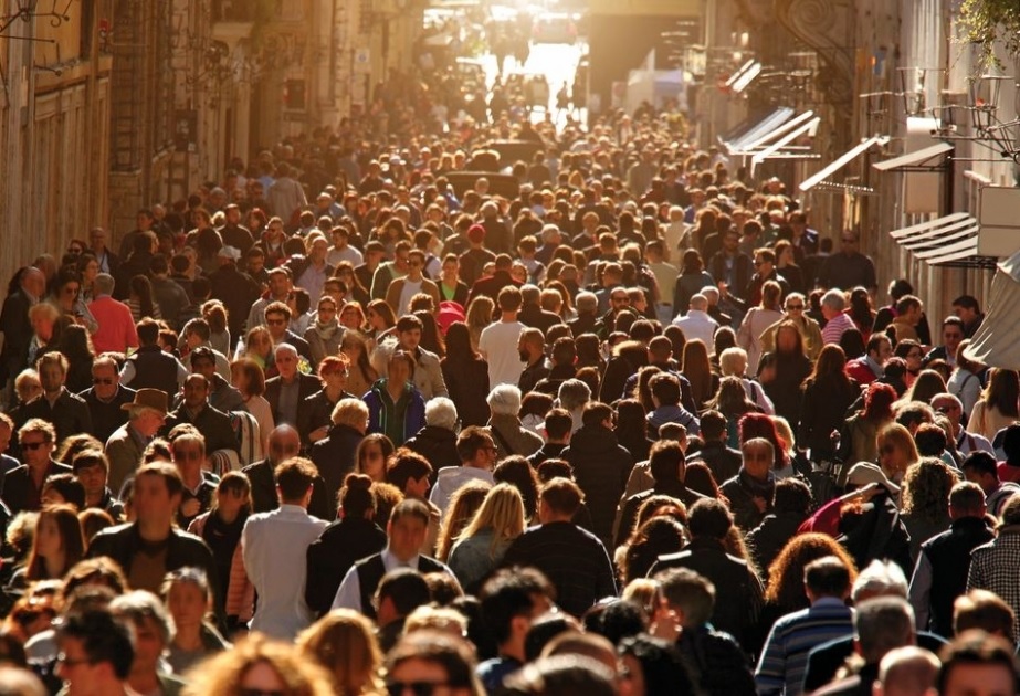 В Германию въезжают сотни венгров с двойным гражданством под видом украинских беженцев &#8212; Die Welt