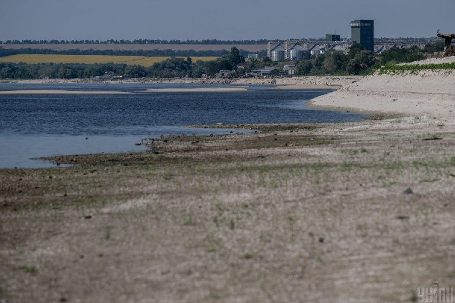 Лес растет огромными темпами: что происходит на месте Каховского водохранилища после подрыва ГЭС
