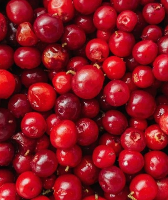 Полезна для желудка: диетологи рассказали о влиянии клюквы на здоровье