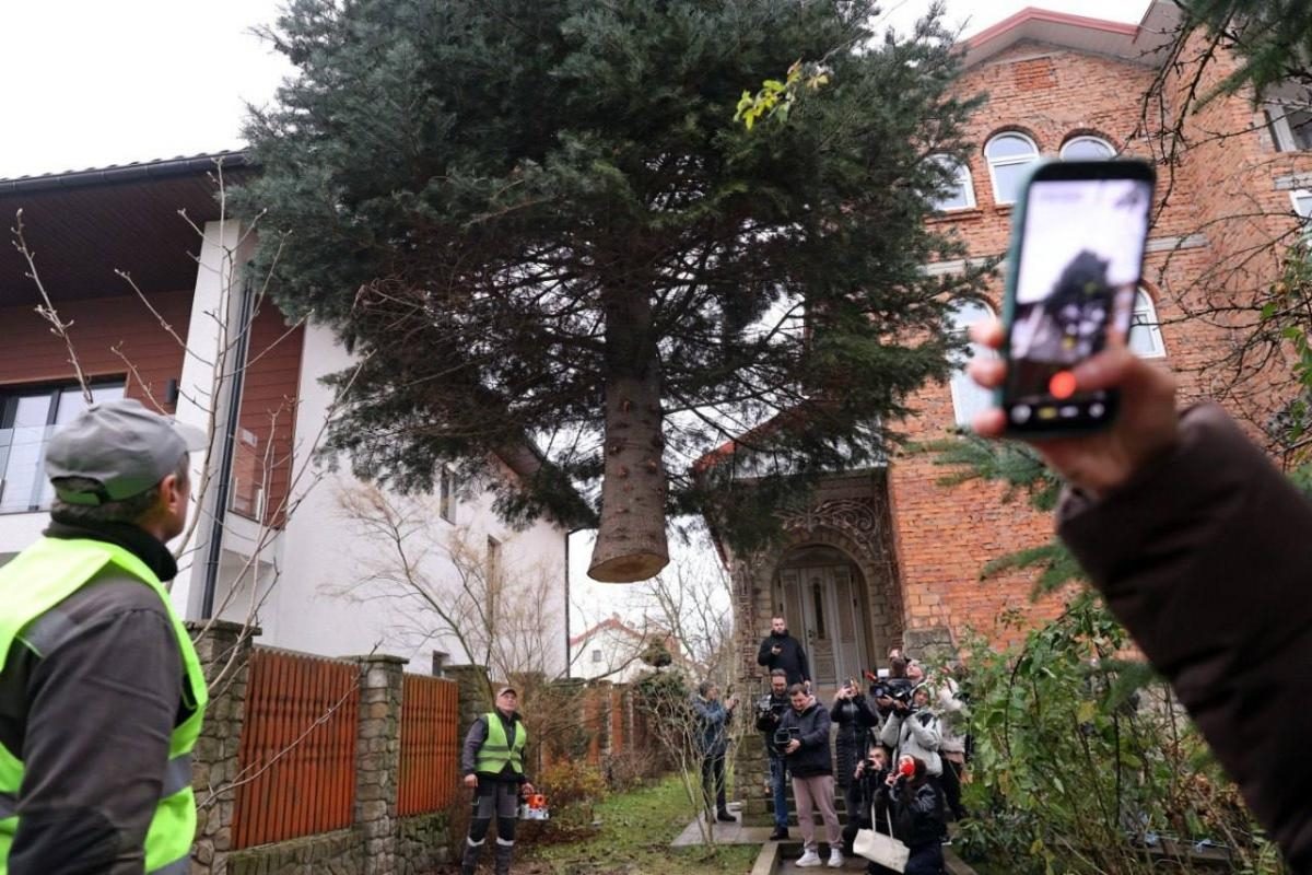 В Киеве и Львове готовятся к Новому 2026-му году