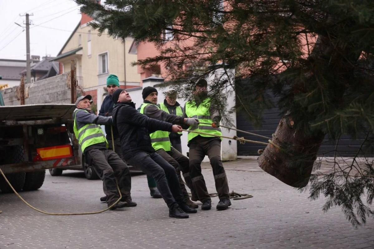 В Киеве и Львове готовятся к Новому 2026-му году