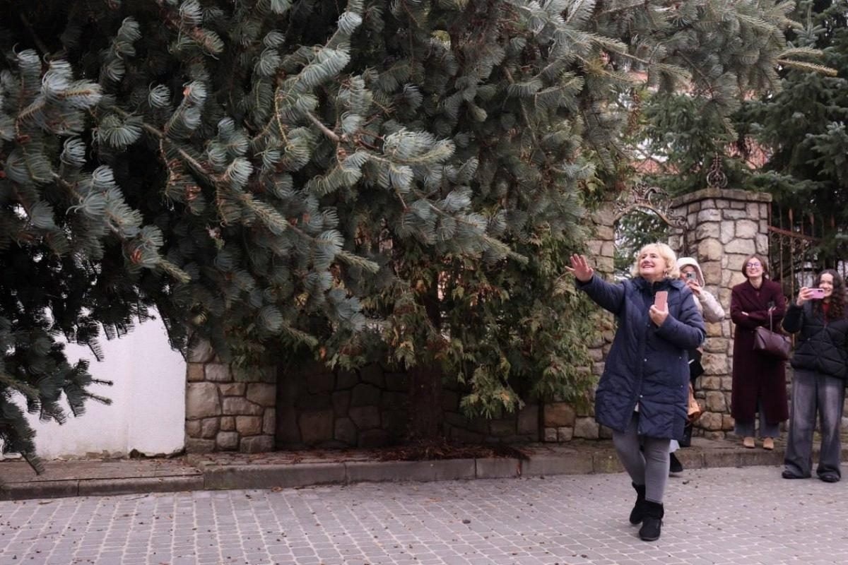 В Киеве и Львове готовятся к Новому 2026-му году