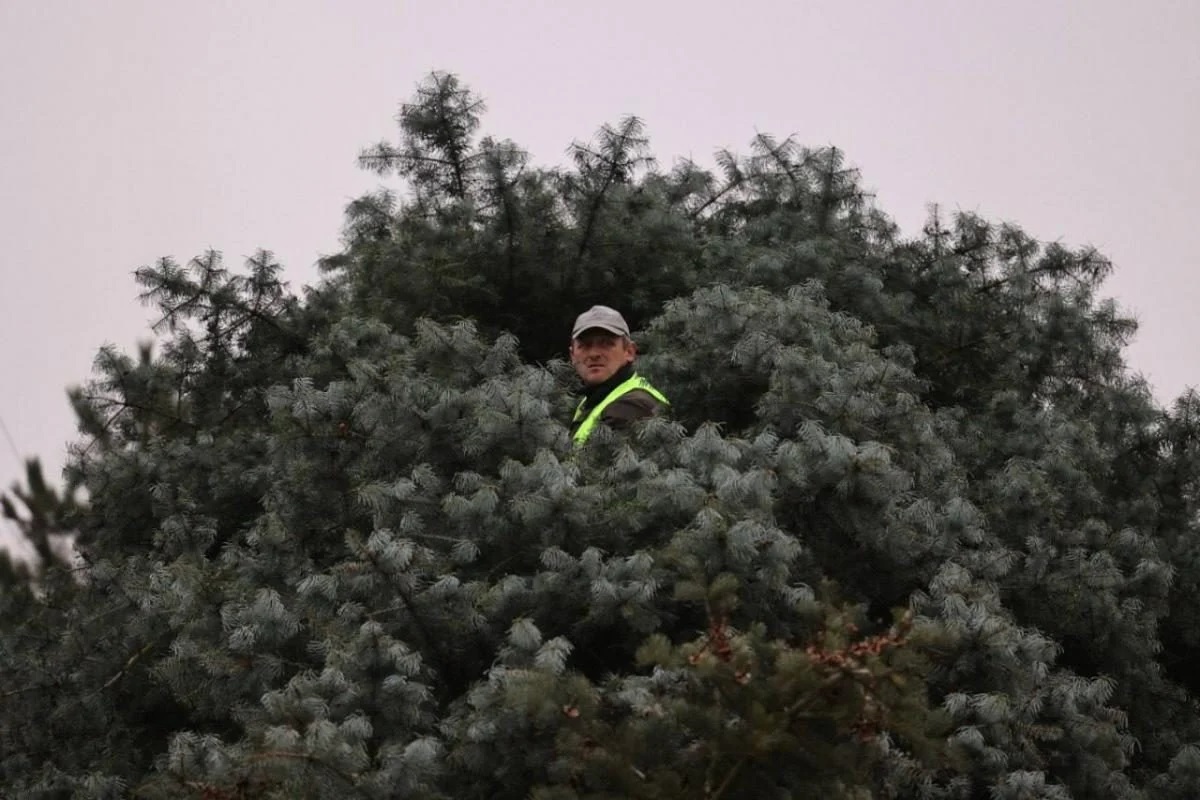 В Киеве и Львове готовятся к Новому 2026-му году