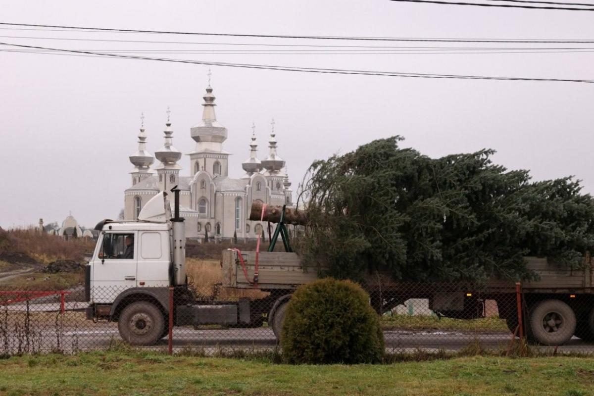 В Киеве и Львове готовятся к Новому 2026-му году
