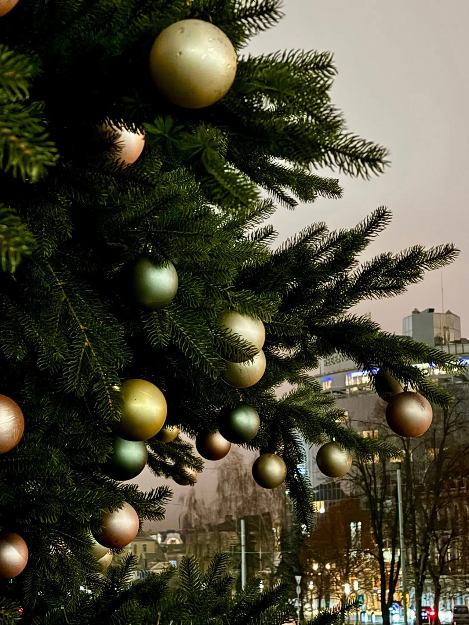 В Киеве и Львове готовятся к Новому 2026-му году