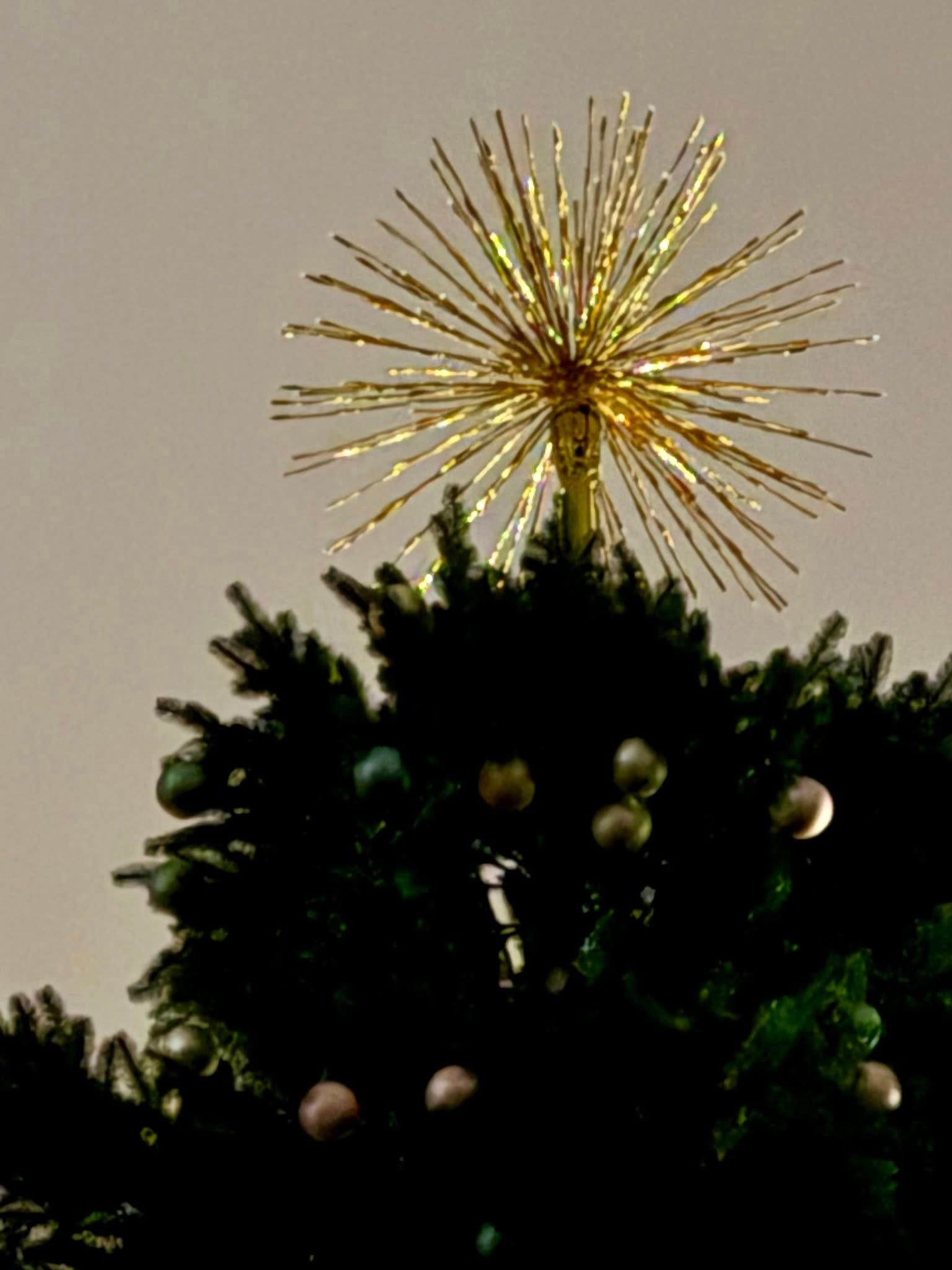 В Киеве и Львове готовятся к Новому 2026-му году