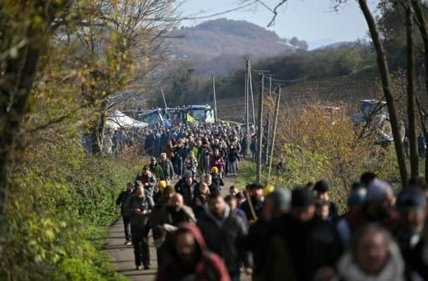Во Франции – столкновения между полицией и фермерами, защищающими скот после заключения санслужбы
