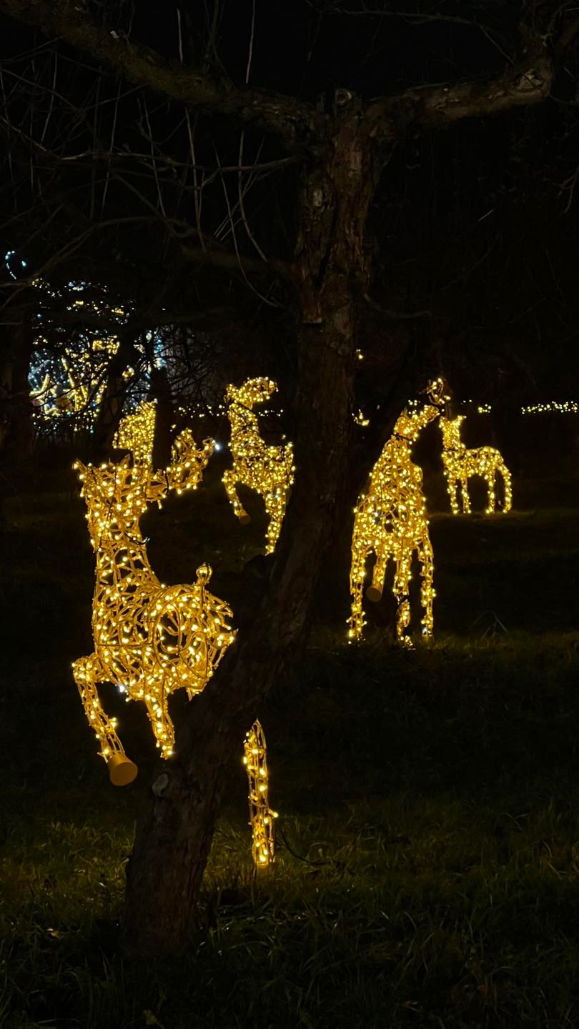 В Киеве и Львове готовятся к Новому 2026-му году